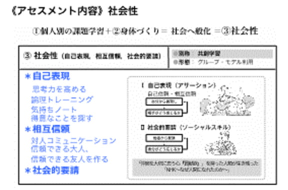 アセスメント内容 社会性